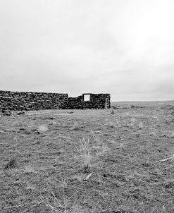 Homestead And Tree