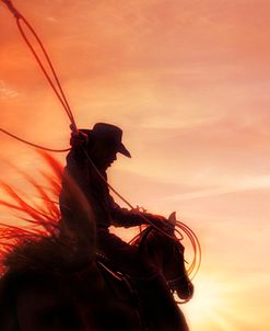 Sunset Roper