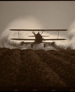 Crop Duster I