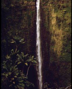 Akaka Falls