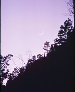 Crescent Moon