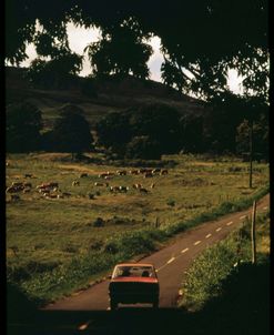 Scenic Hana