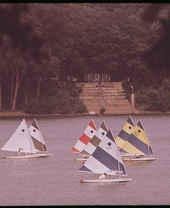 Sunfish Regatta