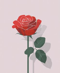 Rose In Raster