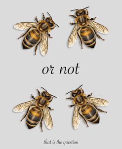 Two Bee Or Not Two Bee