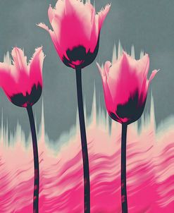 The Tulips