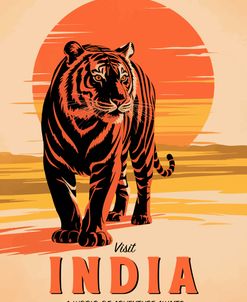 Visit India