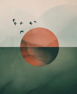 The Birds