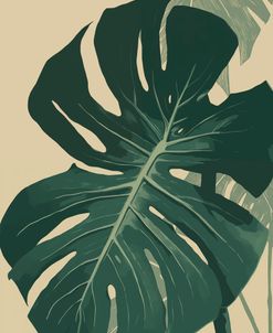 Monstera Leaf