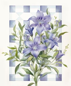 Gentiana