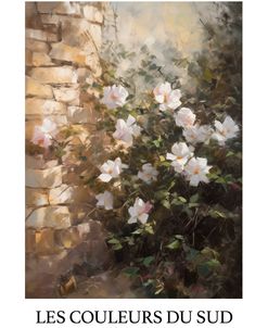 Les Couleurs Du Sud – Wild Roses