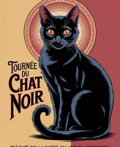 Chat Noir
