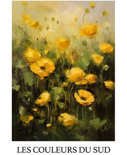 Les Couleurs Du Sud – Ranunculus