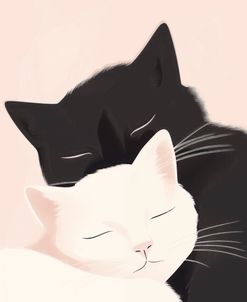 Cuddling Cats
