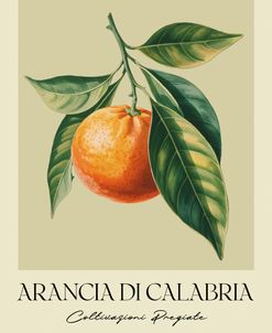 Arancia Di Calabria
