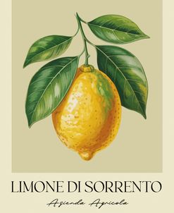 Limone Di Sorrento