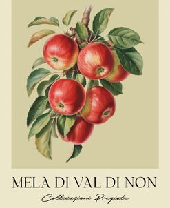 Mela Di Val Di Non