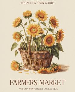 Farmers Market Sunflower