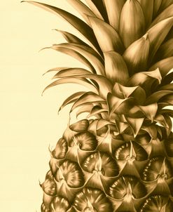 Pineapple Close Up 2