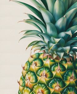 Pineapple Close Up
