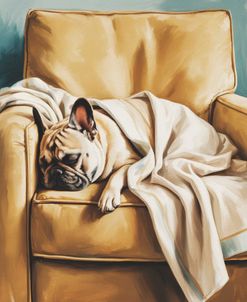 Sleeping French Bulldog