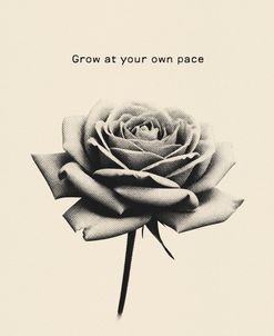 Grow At Your Own Pace