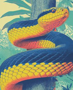 The Vibrant Snake