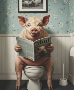 Pig In The Bathroom