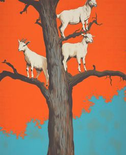 Goats In A Tree