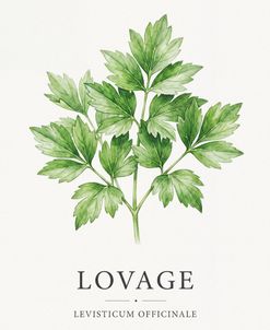 Botanical Herb Poster Lovage