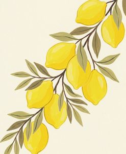 Lemon Branch