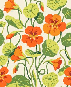 Nasturtium Flowers