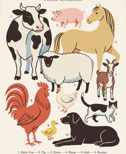 Farm Animals