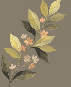 Soft Botanica