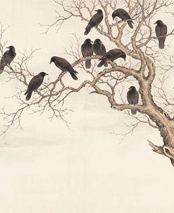 The Tree Of The Crows
