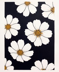 Cosmos On Black