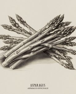 Vintage vegetables – Asparagus
