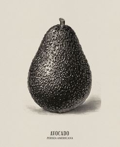 Vintage vegetables – Avocado