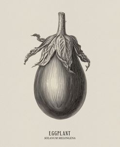 Vintage vegetables – Eggplant