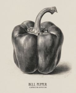 Vintage vegetables – Bell pepper