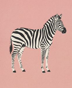 Zebra And Pink