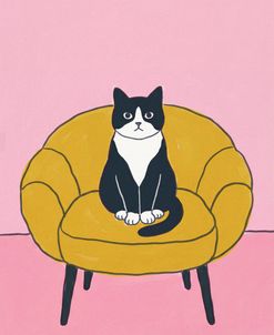 The Cat In The Armchair