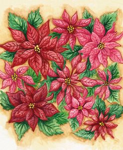 Christmas Poinsettia