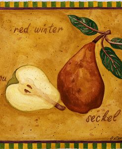Pear Red Winter Anjou Seckel
