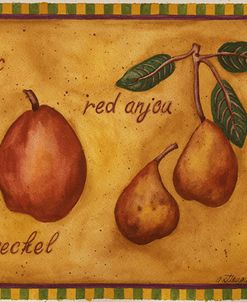 Pears Bosc Red Anjou Seckel