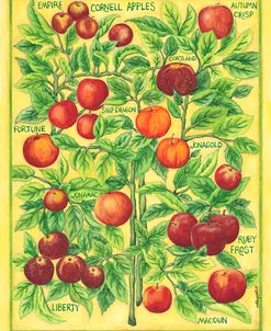 Cornell Apples