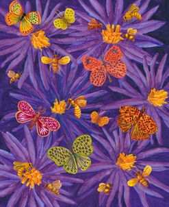 Purple Floral W Odd Butterflies