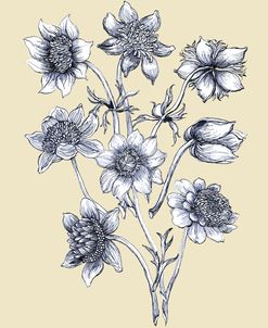 Pen N Ink Bouquet Black On Cream