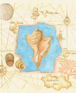 Conch On Map