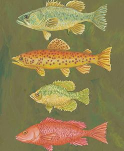 Fish Chart Loden